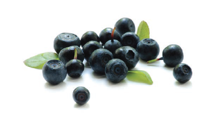 Superfoods  - what are they? Thrive Health & Nutrition Magazine