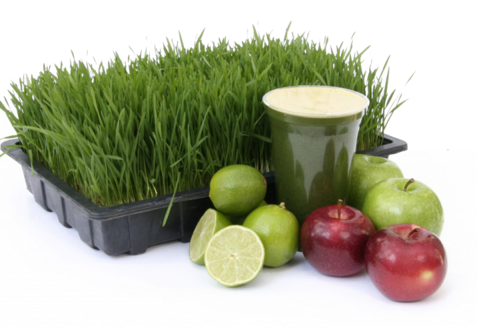 Benefits of wheatgrass Thrive Health & Nutrition Magazine