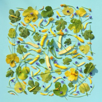 thrive magazine spring