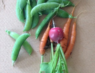 Food Revolution Day