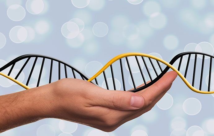 Is epigenetics the future of nutrition? Thrive Health & Nutrition Magazine
