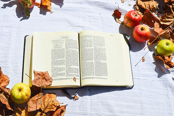 world book day - thrive magazine