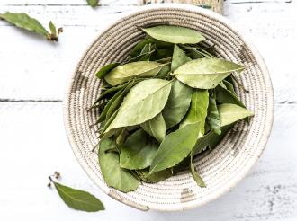 power of bay leaf oil